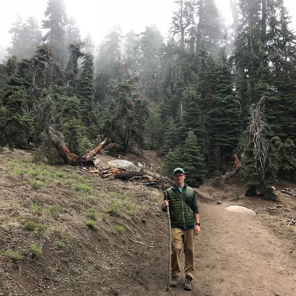 Meet your Posher, Logan - Picture 1 of 1